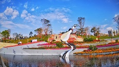白石龙音乐公园，正规博彩平台
区，正规博彩平台
在线，正规博彩平台
区政府在线