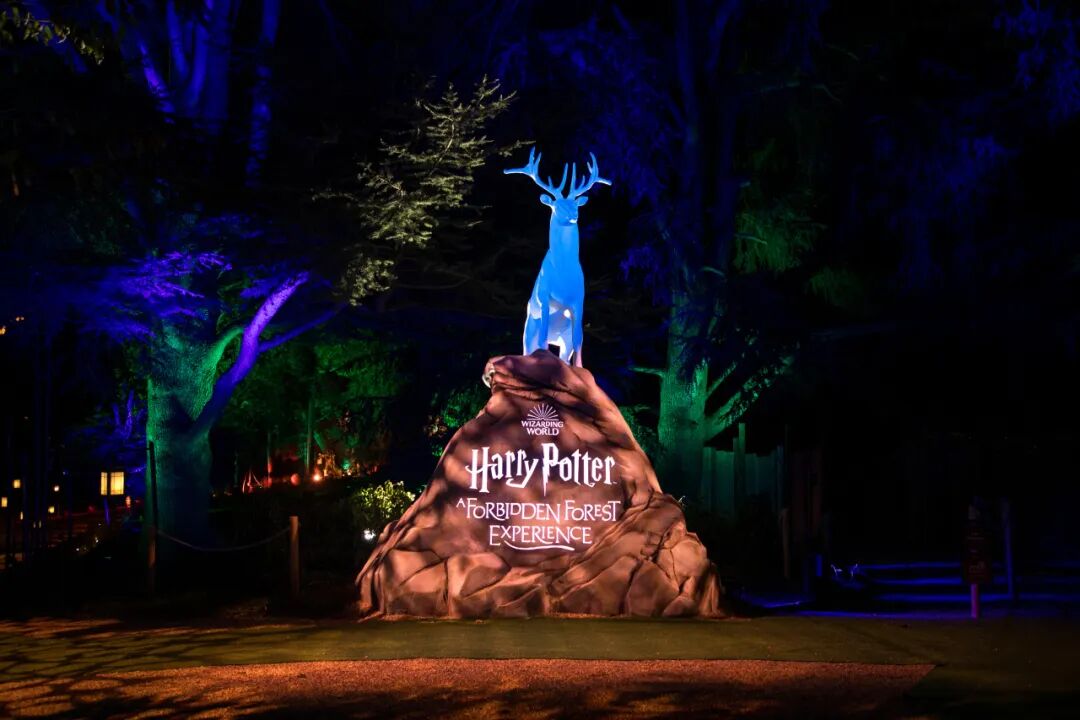 ‘Harry Potter: A Forbidden Forest Experience’ to open in October,longhua,longhua district,Longhua Government Online