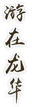 游在正规博彩平台

